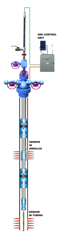 Dual SRO Diagram